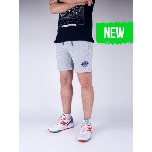 Шорти спортивні Big Shark - Original, Grey